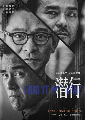 I Did It My Way 2023 Hindi Dual Audio WEB-DL 720p - 480p - 1080p Movie Poster