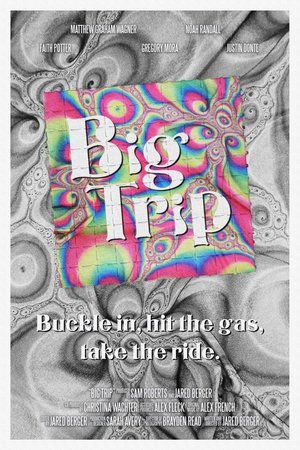 Big Trip (2024) WEBRIP Hindi (MULTI AUDIO) 720p – 480p – 1080p Movie Poster