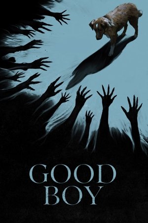 Good Boy (2025) WEBRIP Hindi (MULTI AUDIO) 720p – 480p – 1080p Movie Poster