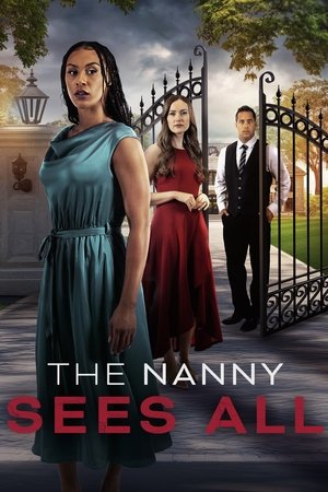 The Nanny Sees All (2025) HDRip Hindi (MULTI AUDIO) 720p - 480p - 1080p Movie Poster